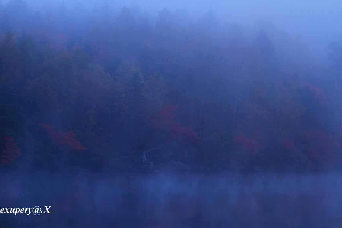 紅葉撮影に白駒池へ!!でも今日は朝霧の白駒池を撮影しました_e0195337_20585041.jpg