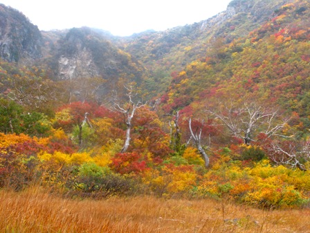 栗駒山は・・・何度行っても・・・一期一会で～す　　♪♪_c0204740_21484144.jpg