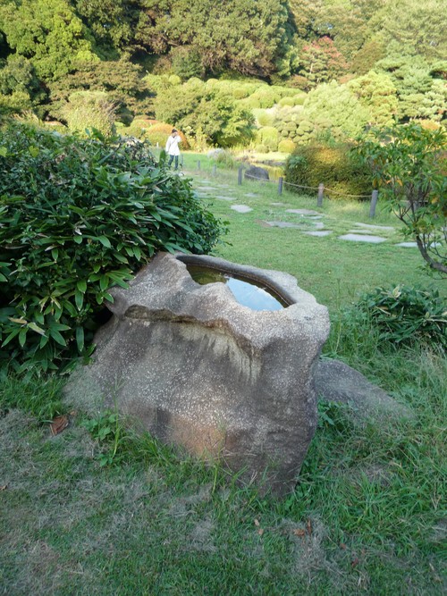 小石川植物園_b0169343_18525377.jpg