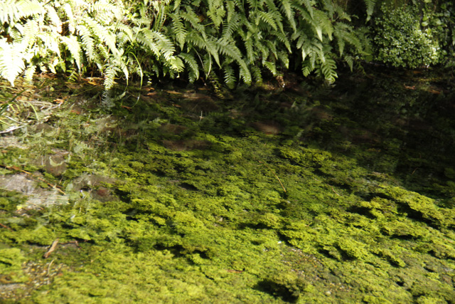 b0016545_20544371.jpg