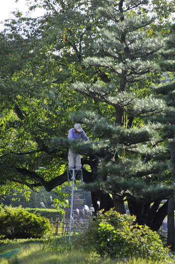 c0093046_7423640.jpg