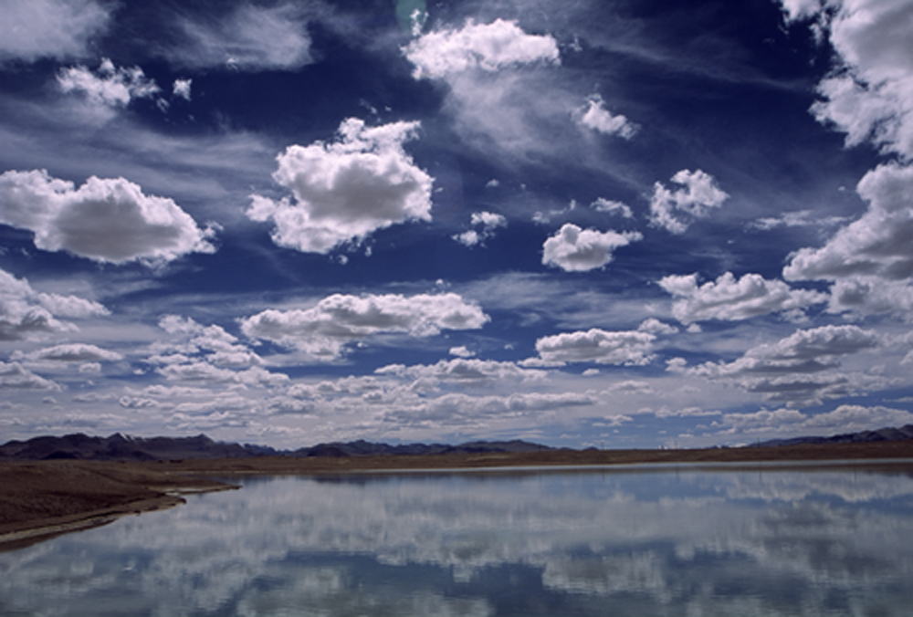 a0064449_16224636.jpg