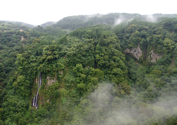 f0214649_42864.jpg