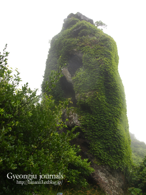 霧に煙る 「城山日出峰」！_e0151851_10434566.jpg