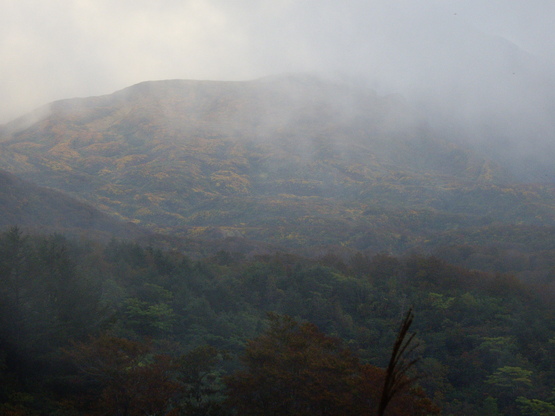 d0092963_10582840.jpg