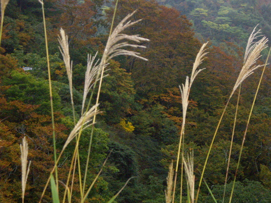d0092963_1112523.jpg