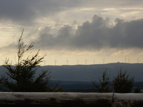 d0092963_11161457.jpg