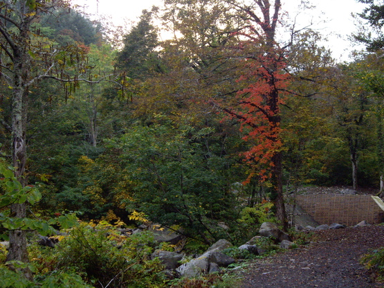d0092963_1173975.jpg