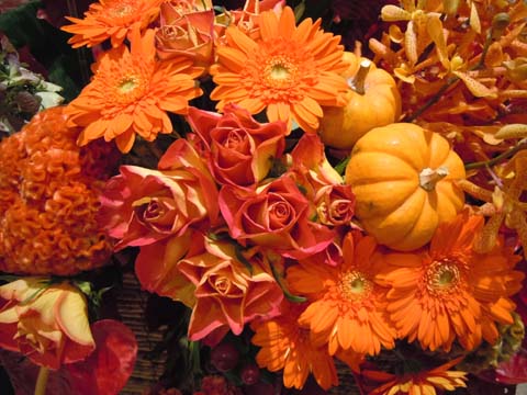 e0100469_2361626.jpg