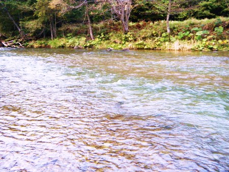 d0170077_0112059.jpg
