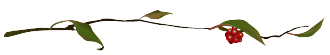 d0005397_1371584.gif