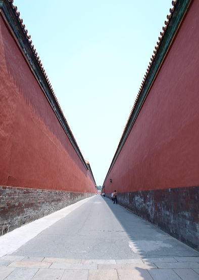 f0153497_14344.jpg