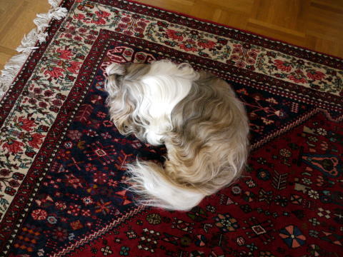 c0090198_3344440.jpg