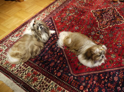 c0090198_401431.jpg
