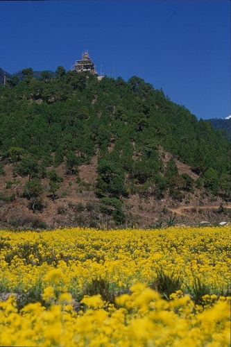 里山の原風景…_c0124100_14551921.jpg