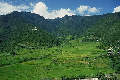 里山の原風景…_c0124100_1527934.jpg