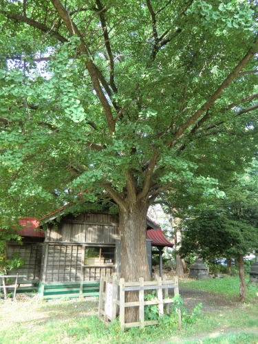 小さな神社　難得神社_d0026802_18392168.jpg