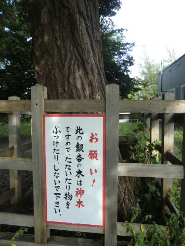 小さな神社　難得神社_d0026802_1840192.jpg