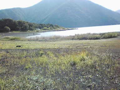 e0016412_033234.jpg