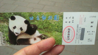 北京動物園・大熊猫(ジャイアントパンダ)館の風景_a0151913_16441633.jpg