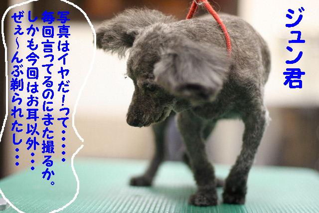 雨ですねぇ～～～。。。_b0130018_16381369.jpg