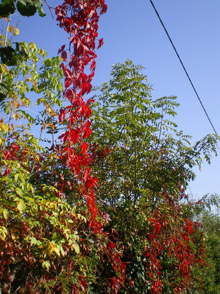c0124619_22235060.jpg