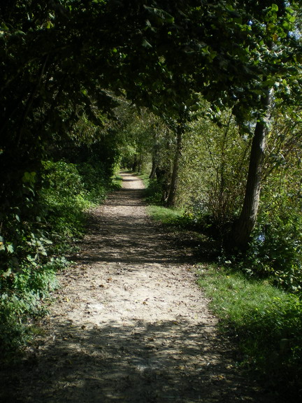 c0124619_22241386.jpg