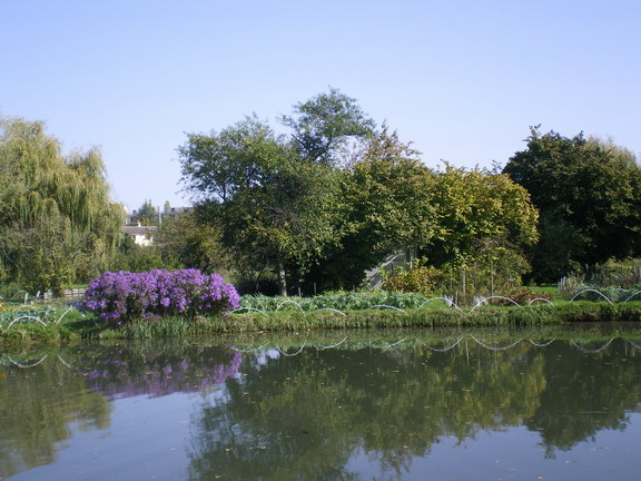 c0124619_22271876.jpg
