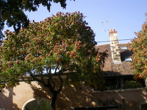c0124619_22281973.jpg