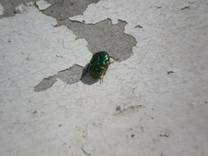 c0124619_22284563.jpg
