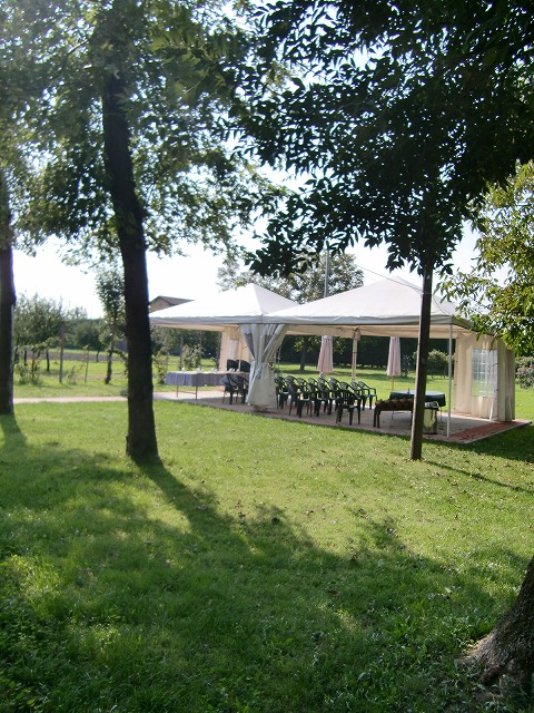 d0166725_1122385.jpg