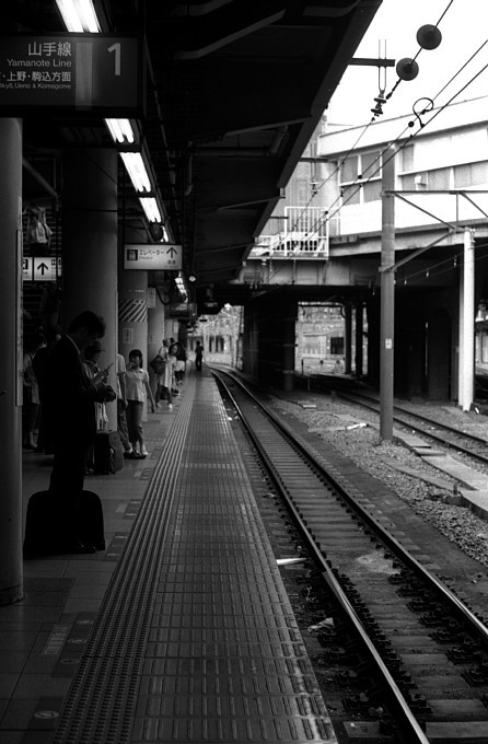 2010-10-10　行く道それぞれ_c0136330_1511325.jpg