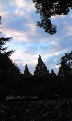 c0165337_14433554.jpg