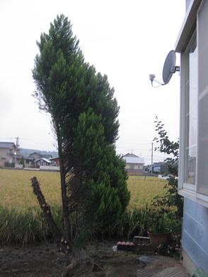 b0151748_17443281.jpg