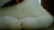 c0052756_1958662.jpg