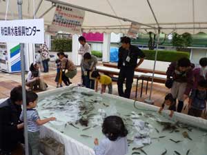 第5回　食の国あきた県民フェスティバル その①_c0214156_22332083.jpg