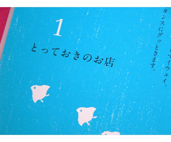 「はじめまして京都」のデザイン、色使い_f0129557_1150114.jpg