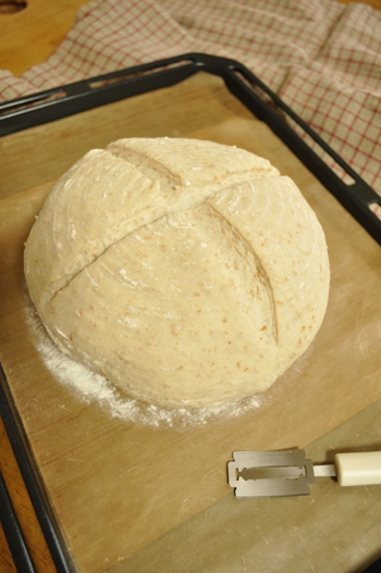 e0138560_15182138.jpg