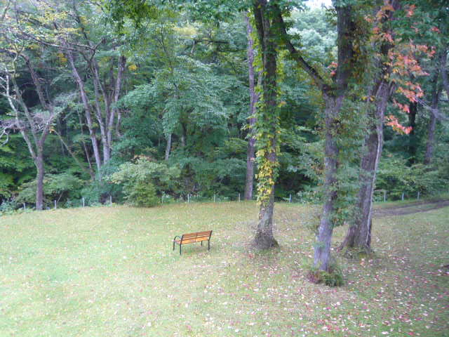 c0100865_944114.jpg