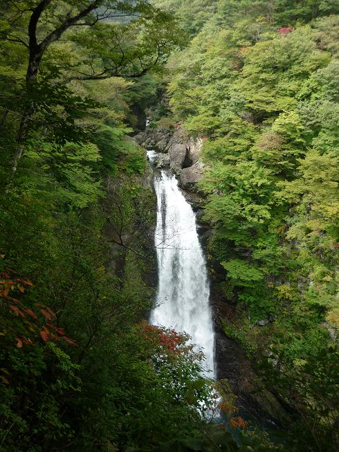 e0139167_09139.jpg