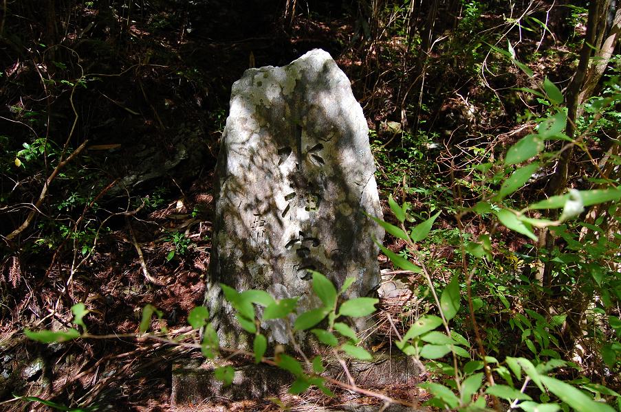 b0059978_052097.jpg