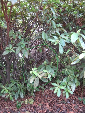 e0093679_10214598.jpg