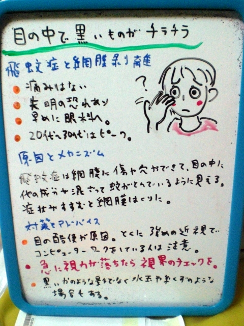 知恵袋 方 治し 蚊 飛 症 飛蚊症や光視症が治った人はいる？原因と治す方法