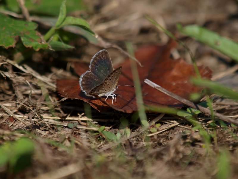 b0108186_07657.jpg