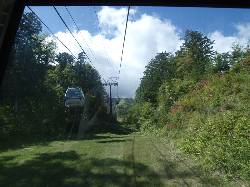 b0120889_0185359.jpg