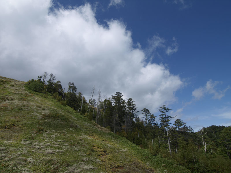b0120889_019062.jpg