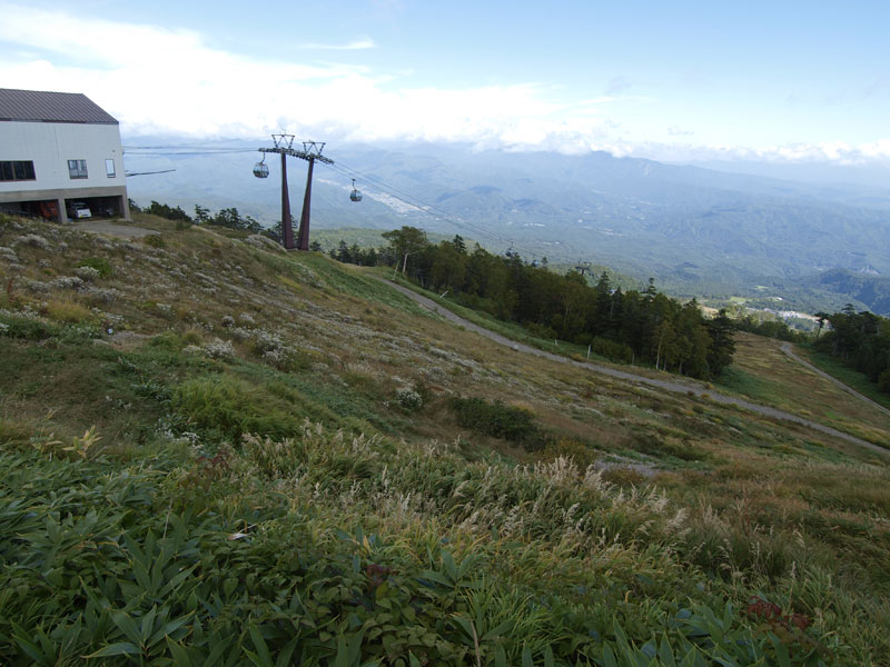 b0120889_019817.jpg