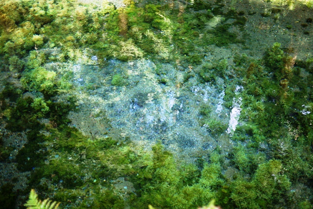 a0127090_1332487.jpg