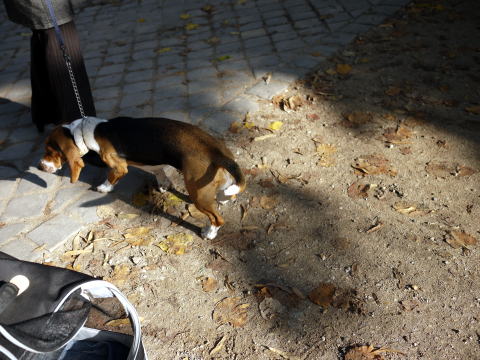 c0090198_3442850.jpg