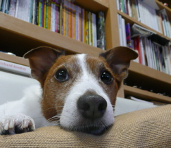 f0146198_051074.jpg